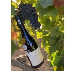 Château d'Espeyran 2020 - L'Envol Red - Costières de Nîmes - Gold Medal